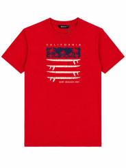 Polera Polo 100% Algodón