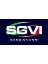 SGVI