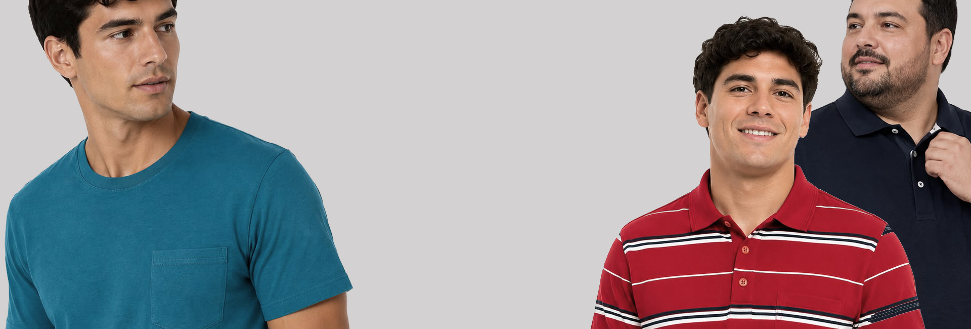 Poleras image